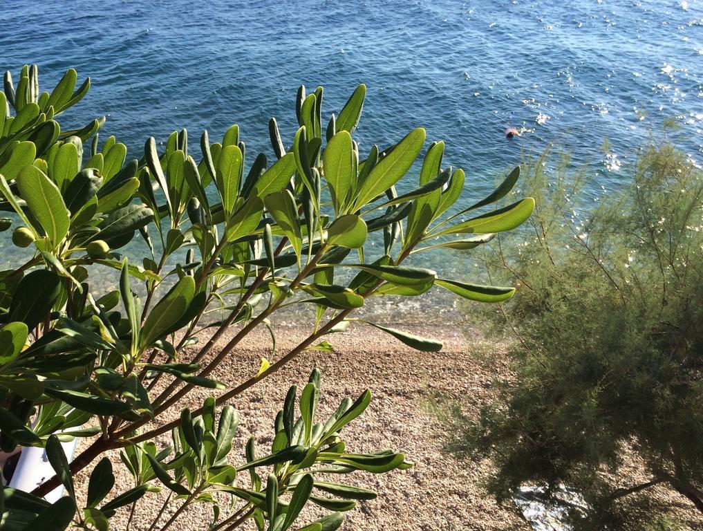 Holiday Home Mala Duba Živogošće الغرفة الصورة